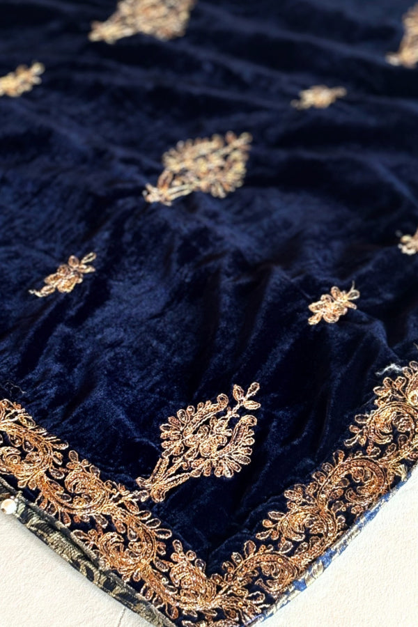Velvet Embroidered Shawl