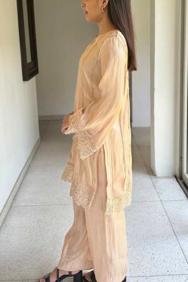 Afsana 2 Piece Set